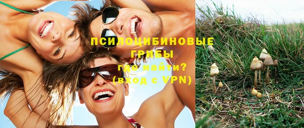 ПСИЛОЦИБИНОВЫЕ ГРИБЫ Медногорск