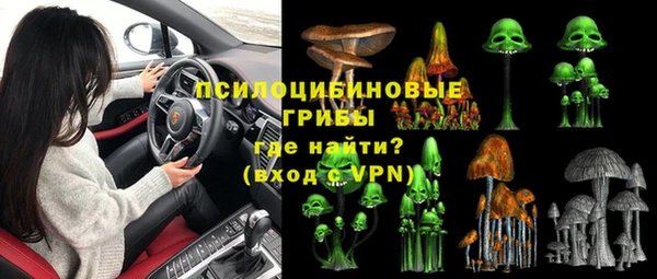 ПСИЛОЦИБИНОВЫЕ ГРИБЫ Медногорск