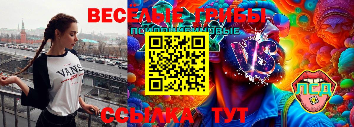Петровск  Галлюциногенные грибы мухоморы  Вход с VPN 